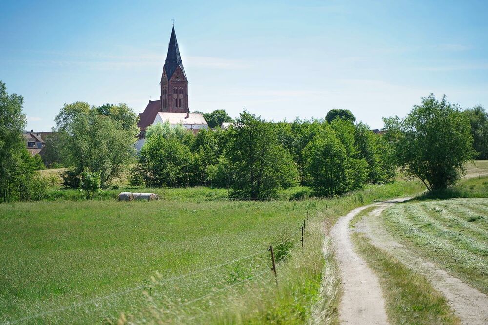 Ein Weg durch Felder mit dem Gützkower Kirchturm im Hintergrund